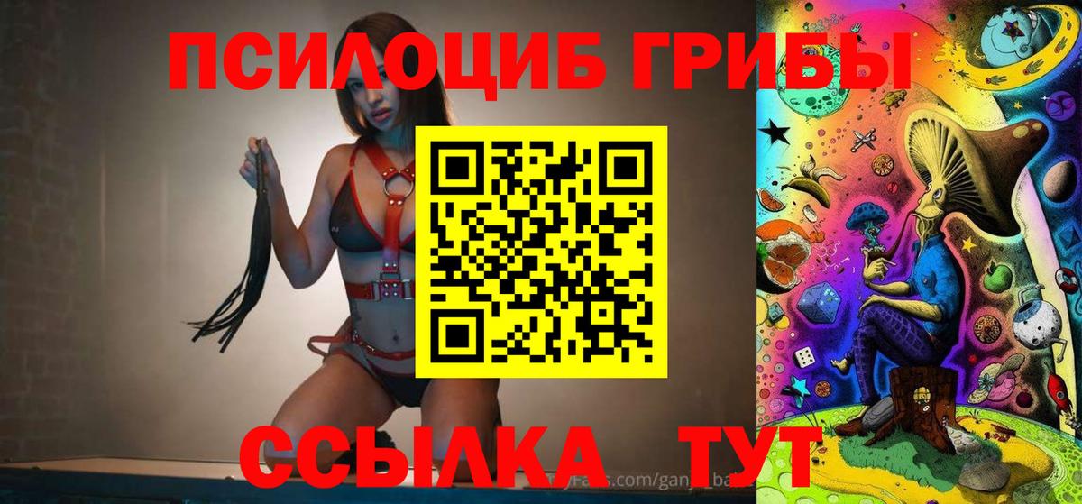 Псилоцибиновые грибы мицелий Наро-Фоминск